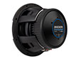 10" CompQ 2-Ohm